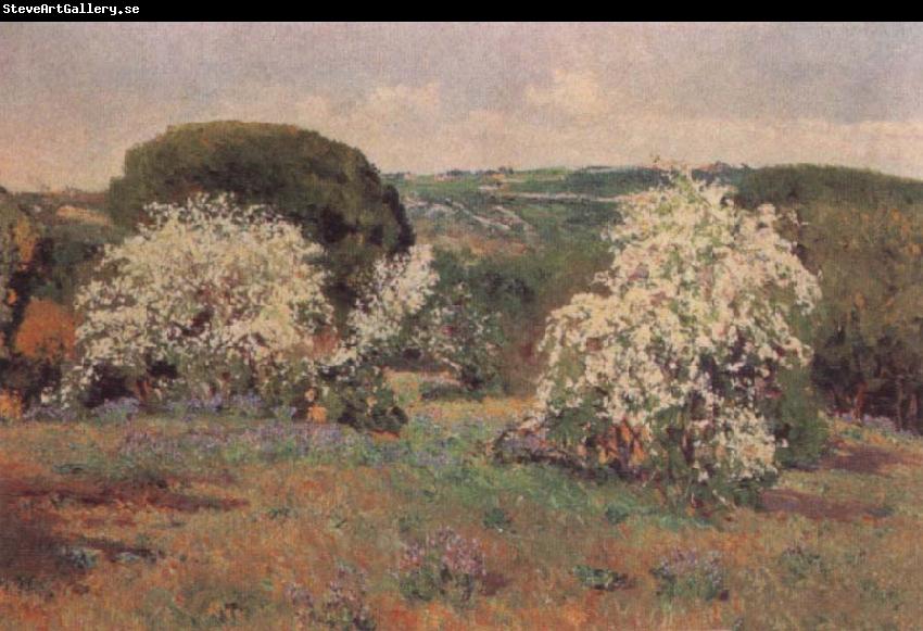 Aureliano De Beruete Y Moret Hawthorn in Blossom